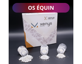 Os equin
