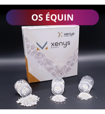 Os equin